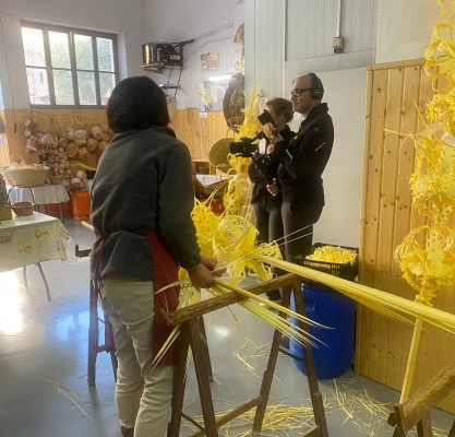 Elche acoge dos rodajes de proyección internacional sobre la artesanía de la Palma Blanca y el Palmeral