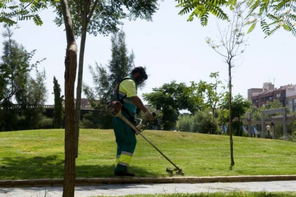 La Junta de Gobierno anula el lote II del contrato de Jardines para volver a sacarlo a licitación