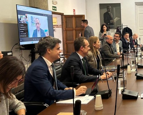 Alicante se incorpora a la comisión sobre fondos europeos de la FEMP