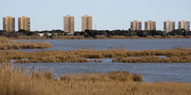 Ecologistas denuncian a la Comunitat por no controlar la calidad del aire