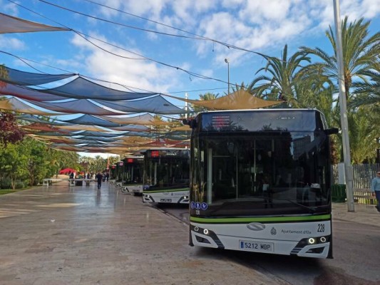 Más de 8.000 estudiantes menores de 26 años disfrutaron de la gratuidad del bus en Elche en 2023