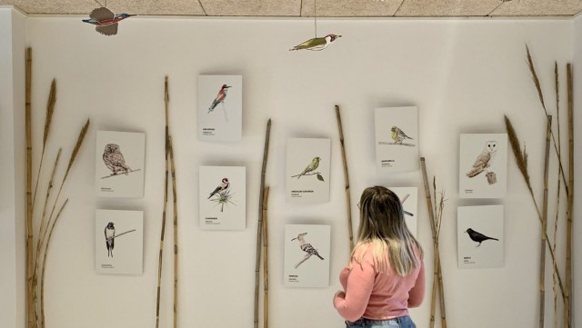 El Centro de Visitantes de La Contraparada de Murcia se llena de 'pajaricos' de la huerta

