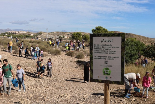 Medio Ambiente reúne a más de 2.000 voluntarios para reforestar Monte Orgegia con 'Alicante Renace'
