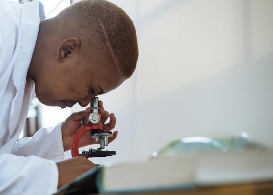 Educación destina 70.500 euros para 34 premios Sapiència a proyectos de investigación de jóvenes