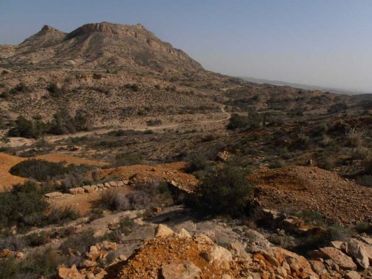 Los ecologistas alegan contra la planta Kenerjona: afecta a parajes protegidos y es un proyecto fraccionado
