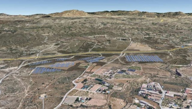 Los propietarios de la almazara El Tendre de Elche queman etapas en una de sus solares en Altabix