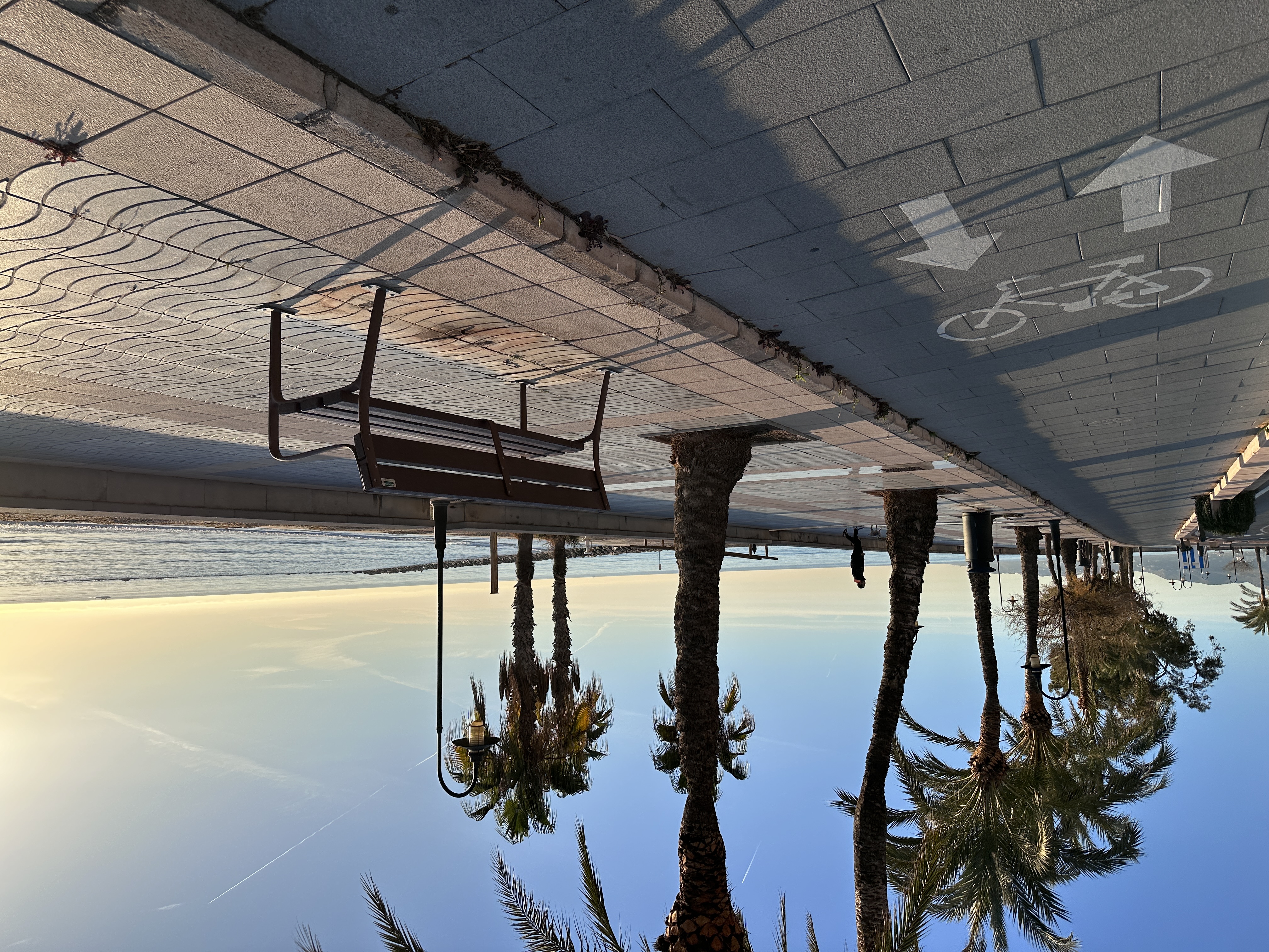 Ayuntamiento de Benicàssim - 