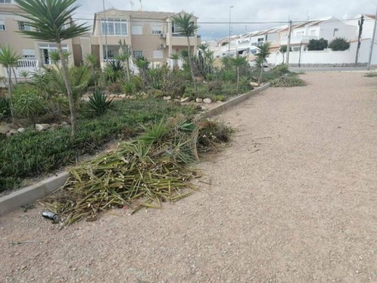 El Pleno de Orihuela aprueba encomendar a Ildo el mantenimiento de zonas verdes de la costa