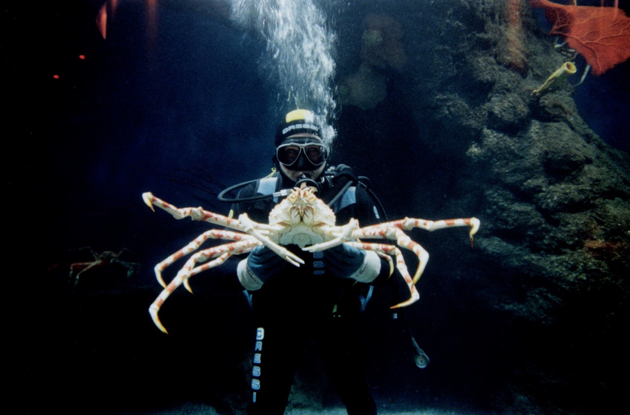 El Oceanogràfic factura 14 millones y gana 1,17 en el primer año de Aguas de Valencia