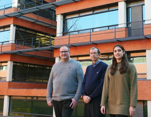 Descubren una importante ruta migratoria de neuronas jóvenes en el cerebro de recién nacidos 