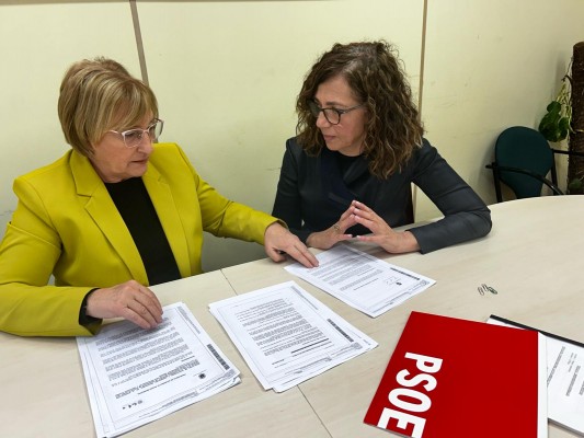 El PSOE de Alicante insta a adaptar la regulación de los pisos turísticos a la normativa europea