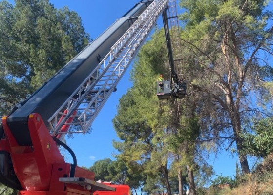 El fuerte viento provoca daños en siete vehículos y caída de vallas, árboles y señales en Castelló