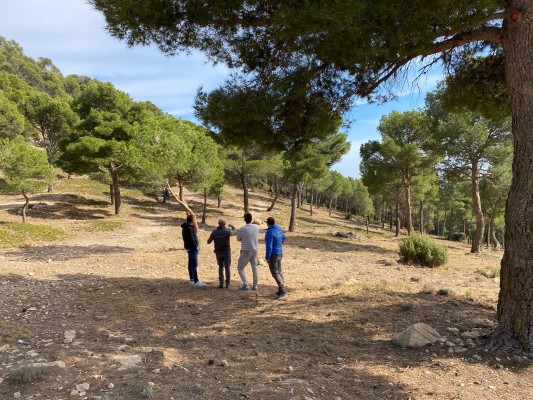 Tibi crea un cortafuegos para evitar la propagación de incendios en el Balcón de Alicante