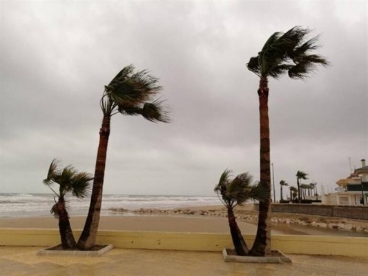 Alerta por fuertes vientos en la Región: se pueden alcanzar  rachas de hasta 70 km/h