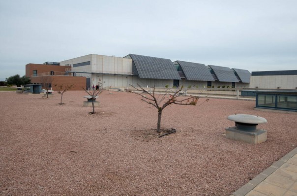 El PP pide a Sánchez frenar la planta solar de San Miguel por afectar a suelo agrícola y al trasvase