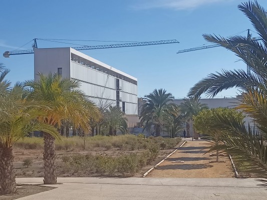 La UMH urbanizará este año el entorno de los nuevos edificios de Elche y un nuevo aparcamiento