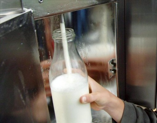 Crean envases biodegradables para lácteos resistentes a tratamientos térmicos