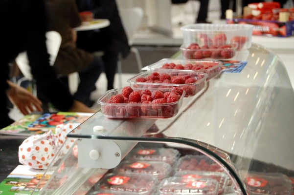 Validan un método rápido y preciso para analizar la actividad antioxidante de frutos rojos