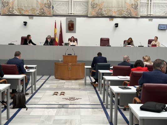  Vox plantea en la Asamblea una moción para pedir el fin del acuerdo agrícola entre Marruecos y la UE