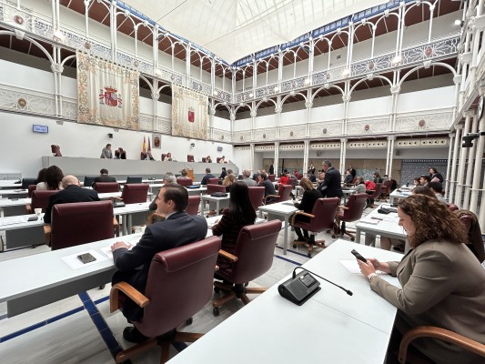 Una comisión de la Asamblea analizará las causas de la baja natalidad en la Región de Murcia