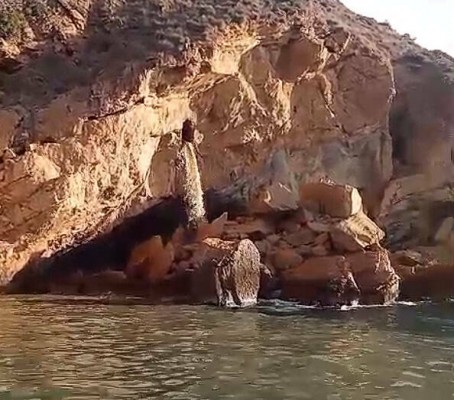 Ecologistes en Acció estudia llevar a la Fiscalía de Medio

Ambiente los vertidos en Serra Gelada