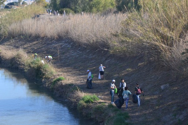 Voluntarios retiran basura del cauce del Segura en 100.000 metros cuadrados en Rojales