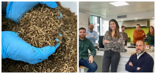 Entomo, Gimme Sabor y Agrosingularity, 3 startups murcianas entre las 100 que marcarán el futuro de la alimentación