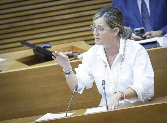 El PPCV insta al Gobierno a aplicar medidas para reducir el precio de alimentos básicos