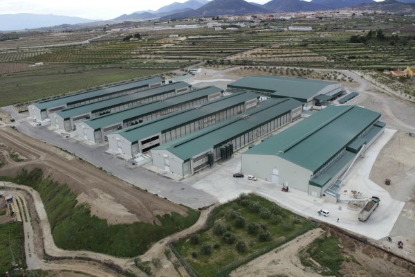 Huevos Guillén reparte un dividendo de medio millón y fija en 170 los ingresos previstos este año