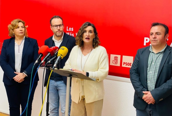 El PSOE de Elche eleva la presión sobre la Cruz: PNL en Les Corts o que Mazón actúe de oficio