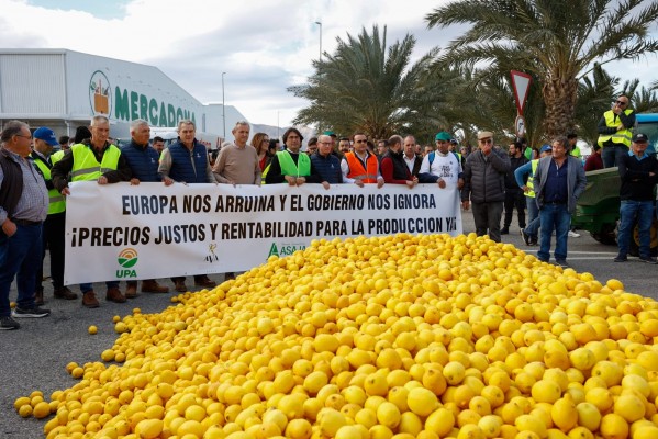 Los agricultores intentan cortar un carril de la autovía de Alicante a Albacete en Sax