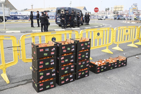 Egipto duplica sus envíos de naranjas a Europa en enero y resiente la campaña en Castellón