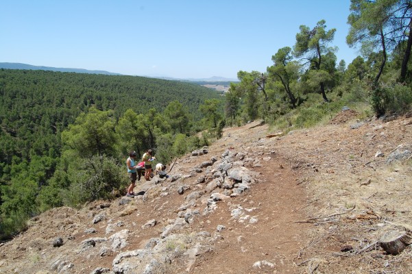 El Museu de Prehistòria descubre la red viaria de acceso al poblado íbero de la Bastida de les Alcusses
