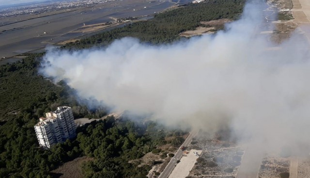 Controlado el incendio de El Saler tras afectar a cerca de 14 hectáreas
