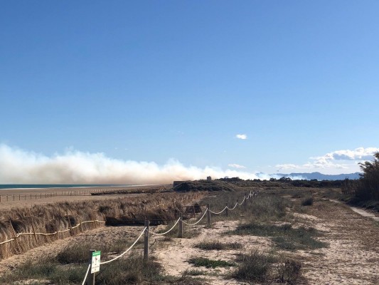 Vecinos exigen más protección para El Saler frente a los incendios: 