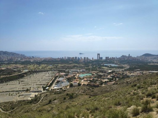 Tres empresas optan al mantenimiento de las zonas verdes del entorno de Terra Mítica