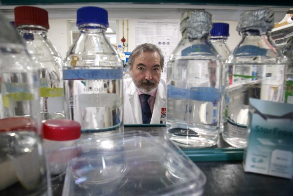 Los dientes de leche, una fábrica de neuronas para buscar terapias de enfermedades raras