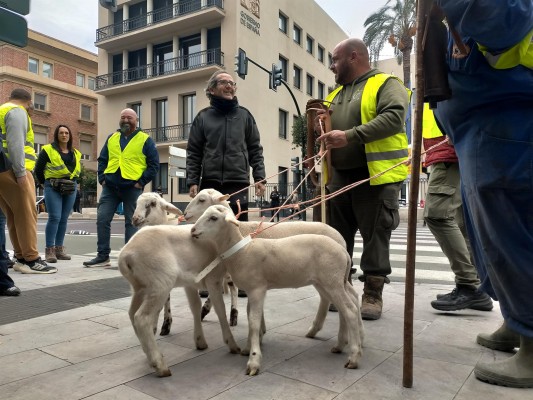 Los agricultores de la Región tampoco tendrán autorización para las protestas de este sábado