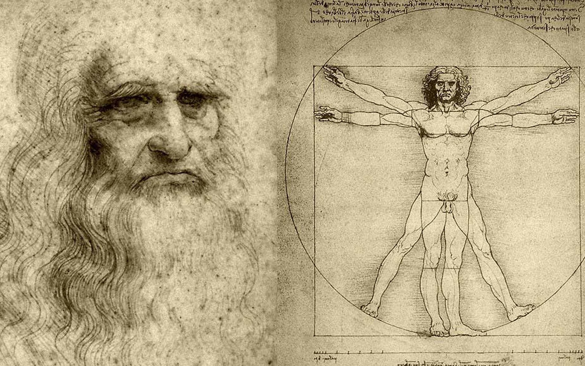Leonardo da Vinci comprendió las leyes de la fricción en 1493  