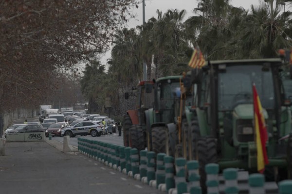 Un grupo de agricultores lleva su protesta ante la Delegación del Gobierno en València
