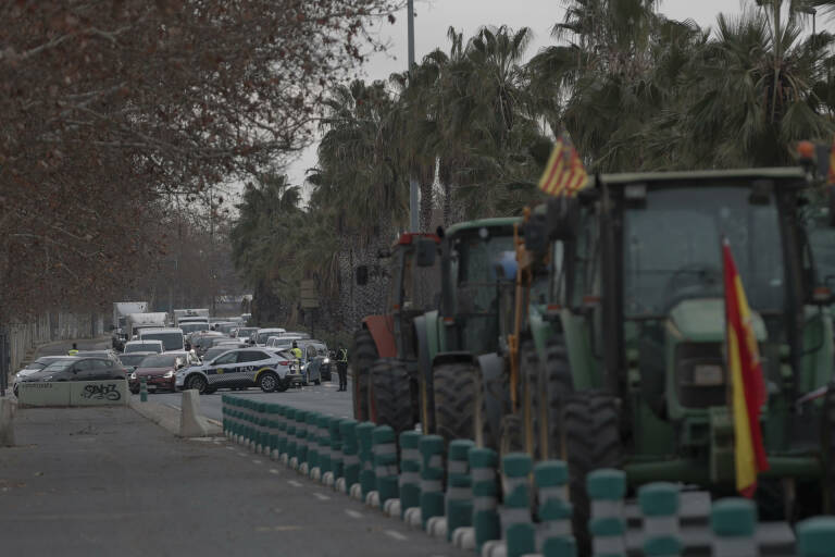 Un grupo de agricultores lleva su protesta ante la Delegación del Gobierno en València
