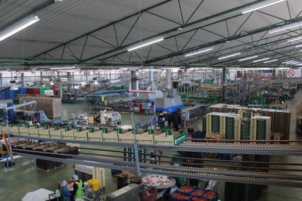 Anecoop se refuerza en Almería con la incorporación de Ecoinver como socio
