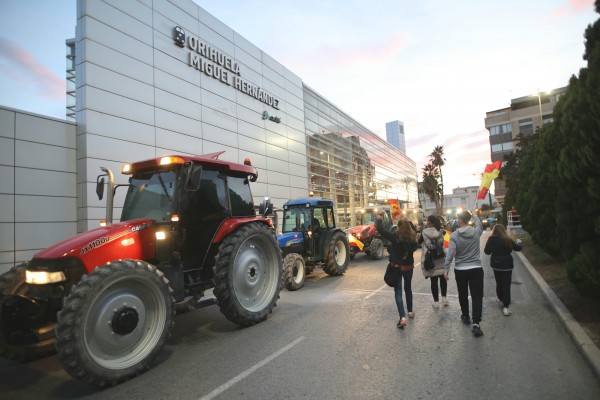 Los agricultores se unen en otra gran tractorada que cortará la autovía en Orihuela y Villena