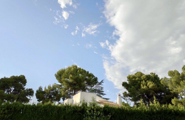 De carrers i d’arbres

