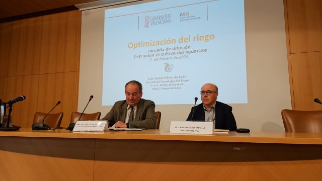 El Ivia abrirá una línea de investigación para mejorar las variedades de aguacate