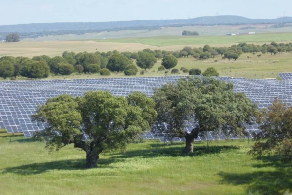 El Gobierno da luz verde a la construcción de la 'macroplanta' de 300 MW de Genia en el Valle de Ayora