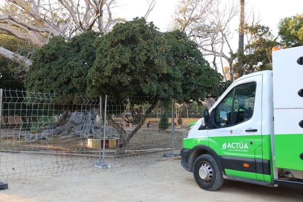 Sant Joan restaura sus zonas verdes: la primera, el jardín de Manzaneta