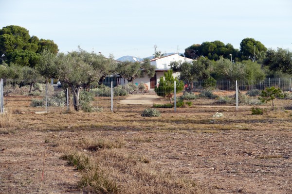 Gecen denuncia una vivienda 