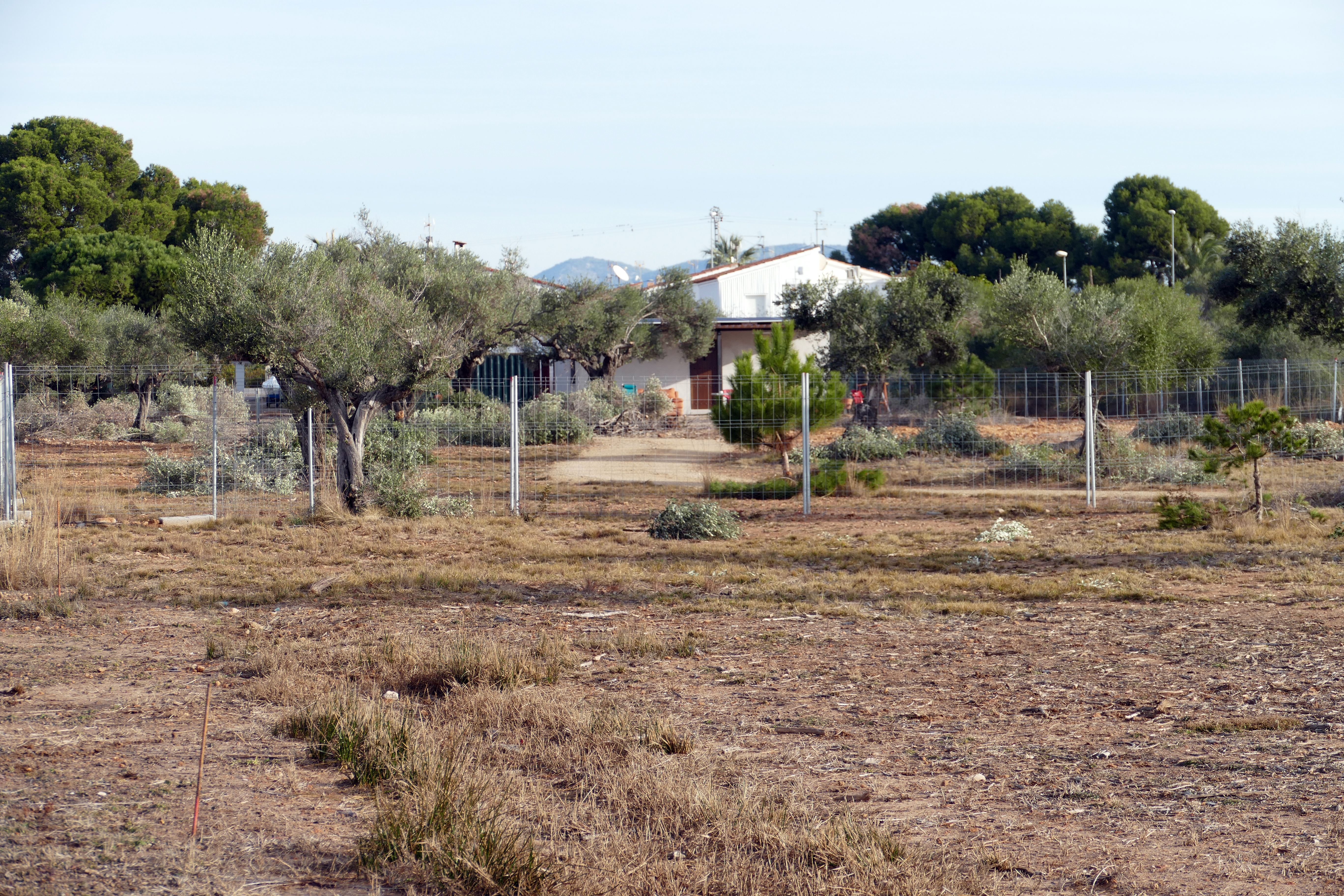 Gecen denuncia una vivienda 