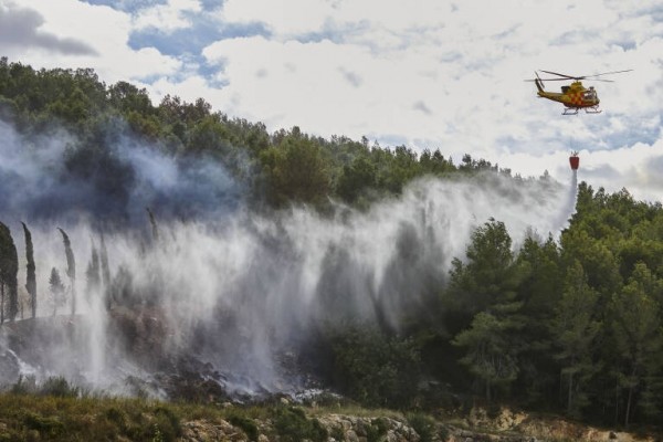 El fuego arrasó 89.068 hectáreas en 2023, un 67% menos que hace un año